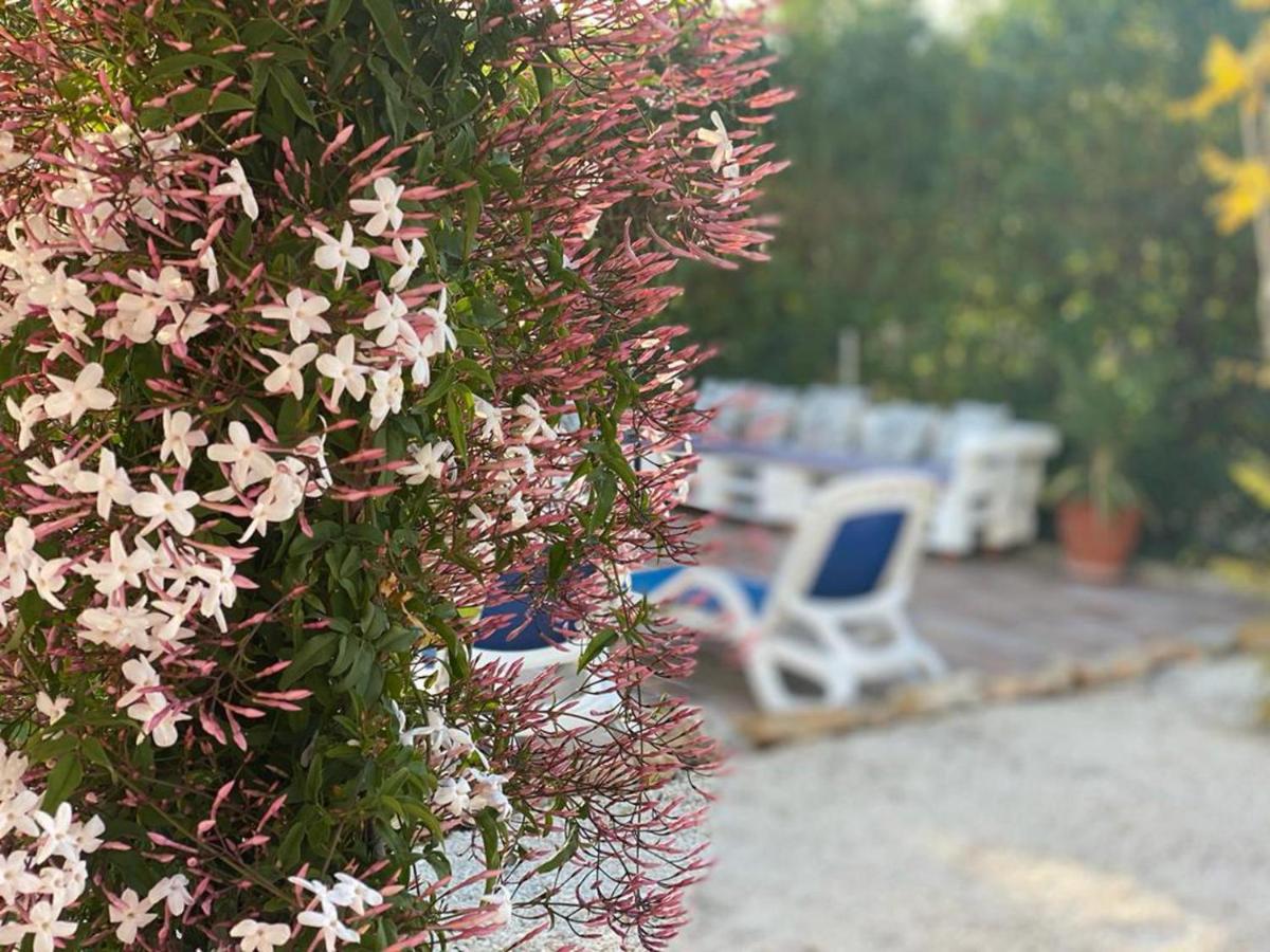Lovely 2 Bed Apartment In Alcalalí Extérieur photo